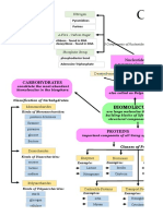 Concept Map Science