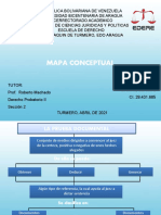 MapaConceptual ProbatorioII