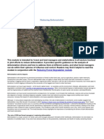 Reducing Deforestation: Basic Knowledge