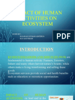 Impact of Human Activities On Ecosystem