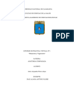 Planimetría Anatómica - Anatomía Comparada