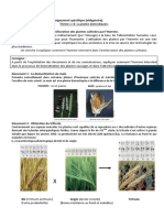 On Cherche À Expliquer Comment L'homme Intervient Dans L'amélioration Des Plantes Cultivées