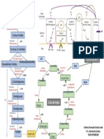 Mapa Metabolico