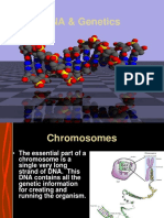 Dna Protein Synthesis 2015