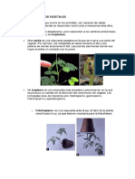 Funciones de Relación de Las Plantas