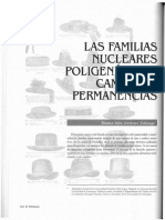 Lasfamiliasnuclearespoligeneticas Blanca Ines Jimenez