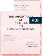 Biochem Mindmap Proteins