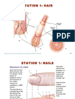 Copy of Integumentary Student Resources 1