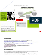 Harta Conceptuala Teoria Vigotski Dima Mariana Pipp An 1 GR 1 Pitesti