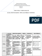 Cuadro de Comparativo de Las Bacterias, Hongos, Virus