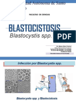 Blastocistosis