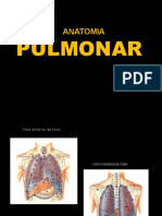 Unidad II Pulmon