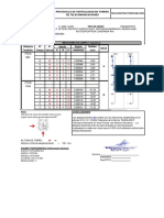 Protocolo de Verticalidad - LI0394 - SUPE