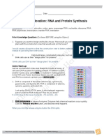 RNA Protein Synthesis Gizmo COMPLETED