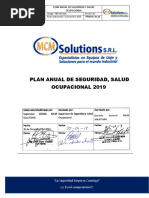 PLAN ANUAL DE SEGURIDAD-2019 - Final