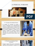 Prueba Pericial Forense - Max Coronado