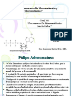 Conf #8 - Los Nucleotidos - BI