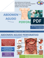 Aa Perforativo