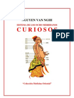 Van Nghi, Nguyen - Sistema de Los Ocho Meridianos Curiosos