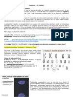 Seminario 3 de Genética. Preguntas 4 y 5