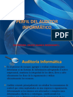 Perfil Del Auditor Informatico