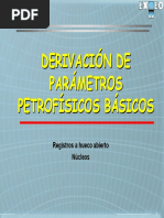 Petrophysical Analysis