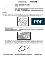 Guía # 8 Refuerzo de Ciencias Naturales Grado 5