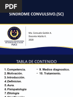 Sindrome Convulsivo