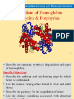 Metabolism of Hemoglobin