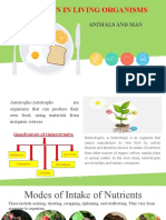 Nutrition in Living Organisms