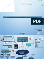 Mapa Mental de Principios, Normas, Procedimientos, Tecnicas de Auditoria