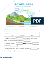 Ciclo Del Agua Actividad