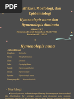 Klasifikasi, Morfologi, Dan Epidemiologi: Hymenolepis Nana Dan Hymenolepis Diminuta