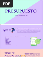 Elementos Del Presupuesto