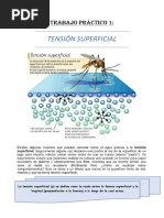 TP #1 - Tensión Superficial