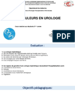 Douleurs en Urologie