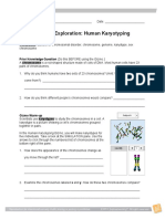 Student Exploration: Human Karyotyping: Vocabulary: Autosome, Chromosomal Disorder, Chromosome, Genome, Karyotype, Sex