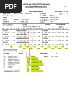 Resumen Liquidacion IMSS