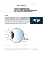 Optics of The Human Eye Goals of This Lab