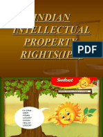 What Is Intellectual Property