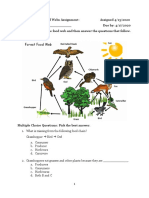 Food Webs and Chains Worksheet 5013