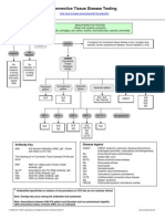 Connective Tissue DZ