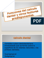 Funciones Del Calculo Dental y Otros Factores Predisponentes