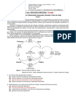 Ficha Formativa 4 - CORREÇÃO