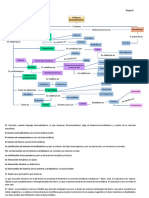 Organizador Grafico A1