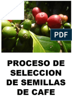 Proceso de Selecion de Semillas de Cafe