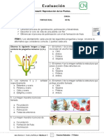 3basico - Evaluación N°6 Ciencias - Clase 02 Semana 30 - 2S