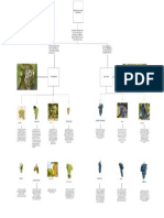 Mapa Mental de Principales Uvas de Vinificación-Tecnicas de Mesa y Bar-2021