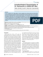 Molecular and Electrophysiological Characterization of GFP-Expressing CA1 Interneurons in GAD65-GFP Mice