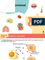 Sistema Hormonal